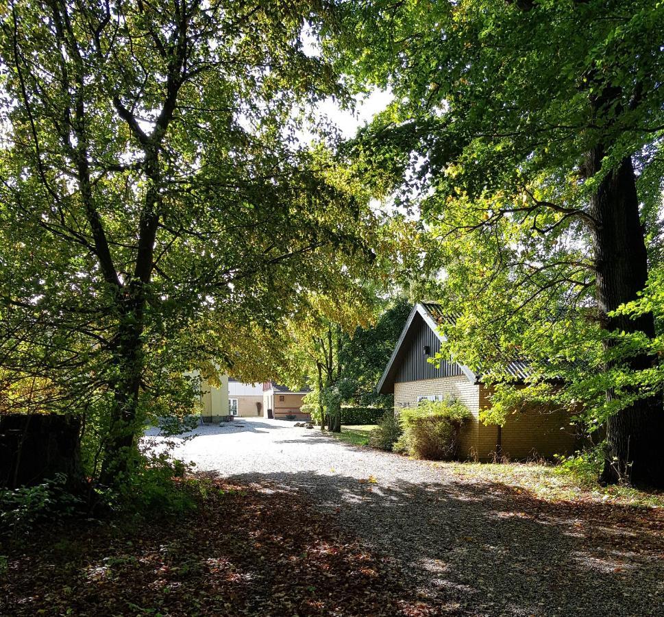Pederstrup Bed And Breakfast Torrig Exterior photo