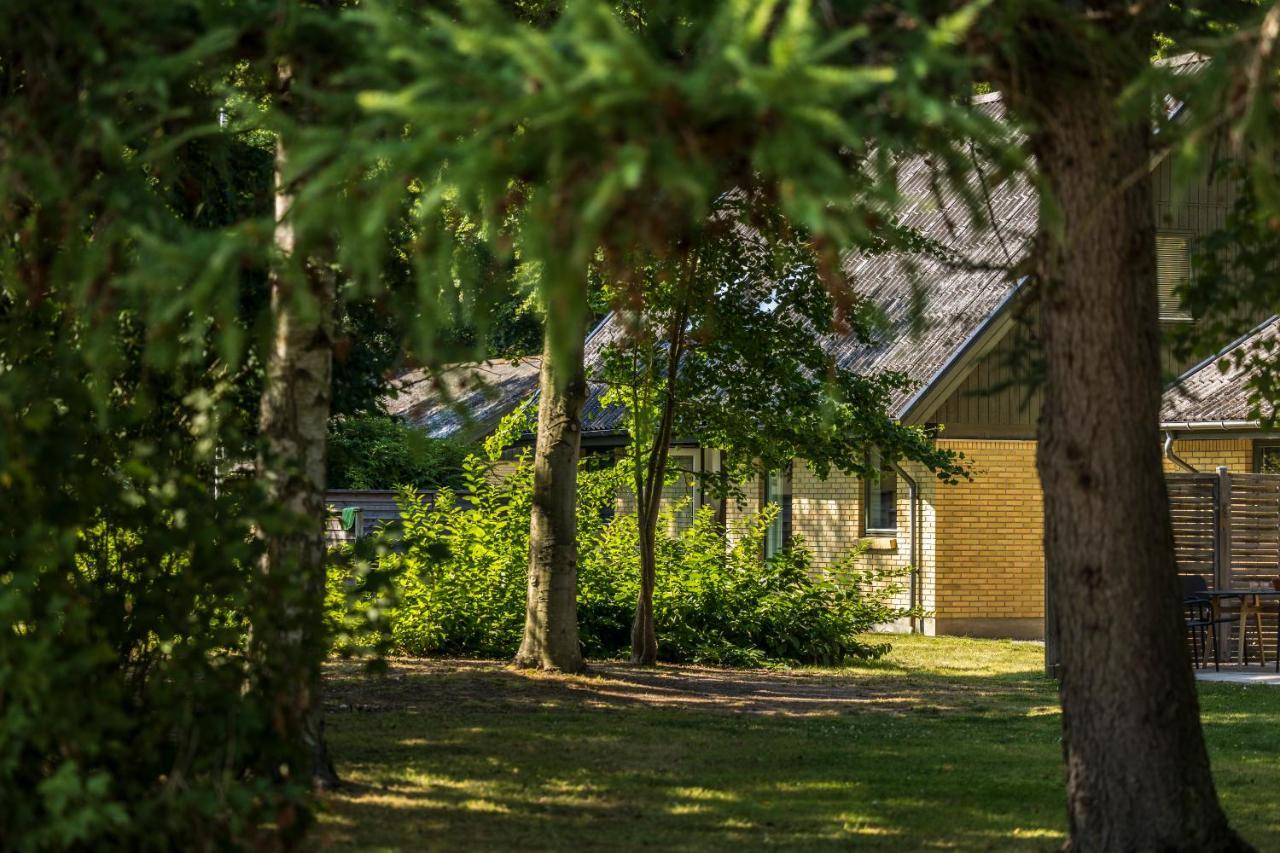 Pederstrup Bed And Breakfast Torrig Exterior photo
